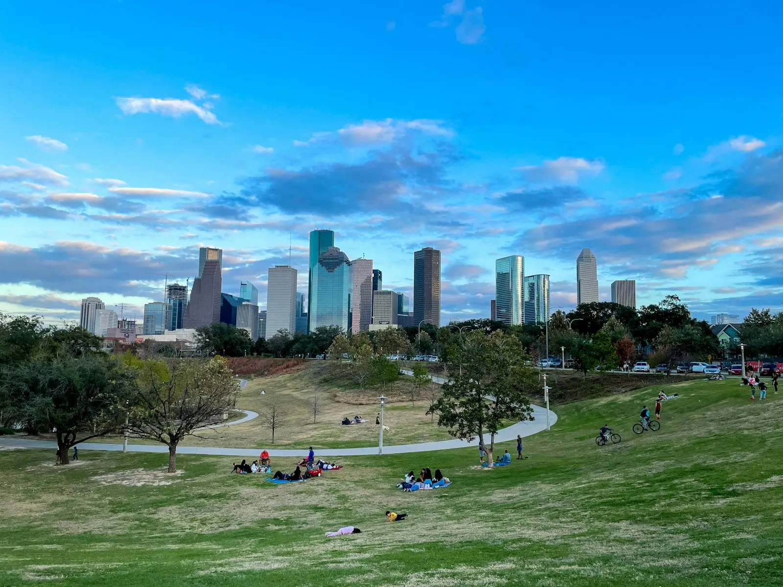 Houston skyline seen from a green park with people relaxing on the lawn