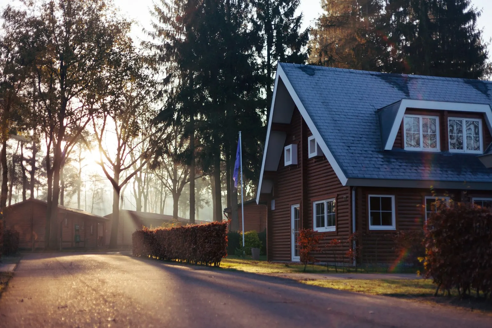 Sunlit American home with mature trees and a quiet tree lined street